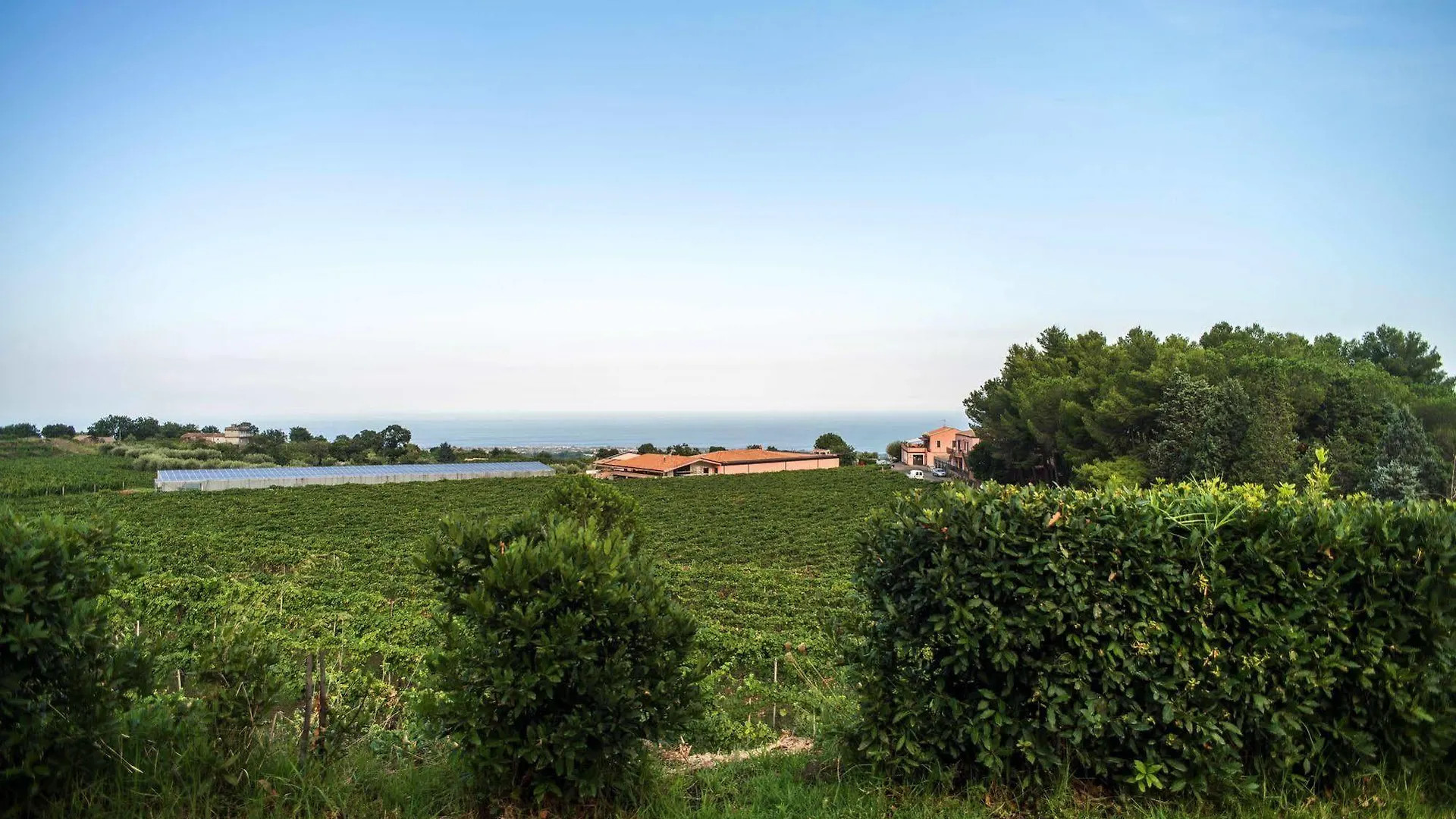 Agroturismo Agriturismo Tenuta San Michele Santa Venerina