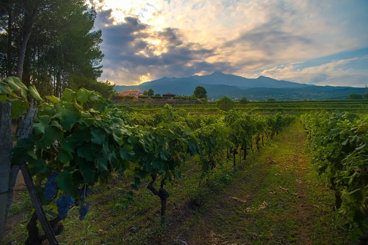Agriturismo Tenuta San Michele Santa Venerina Agroturismo